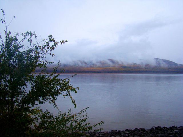 抚远的“大马哈鱼精神”