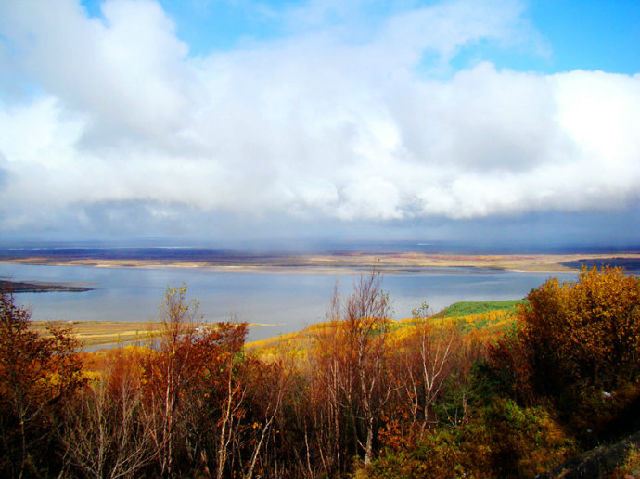 抚远的“大马哈鱼精神”