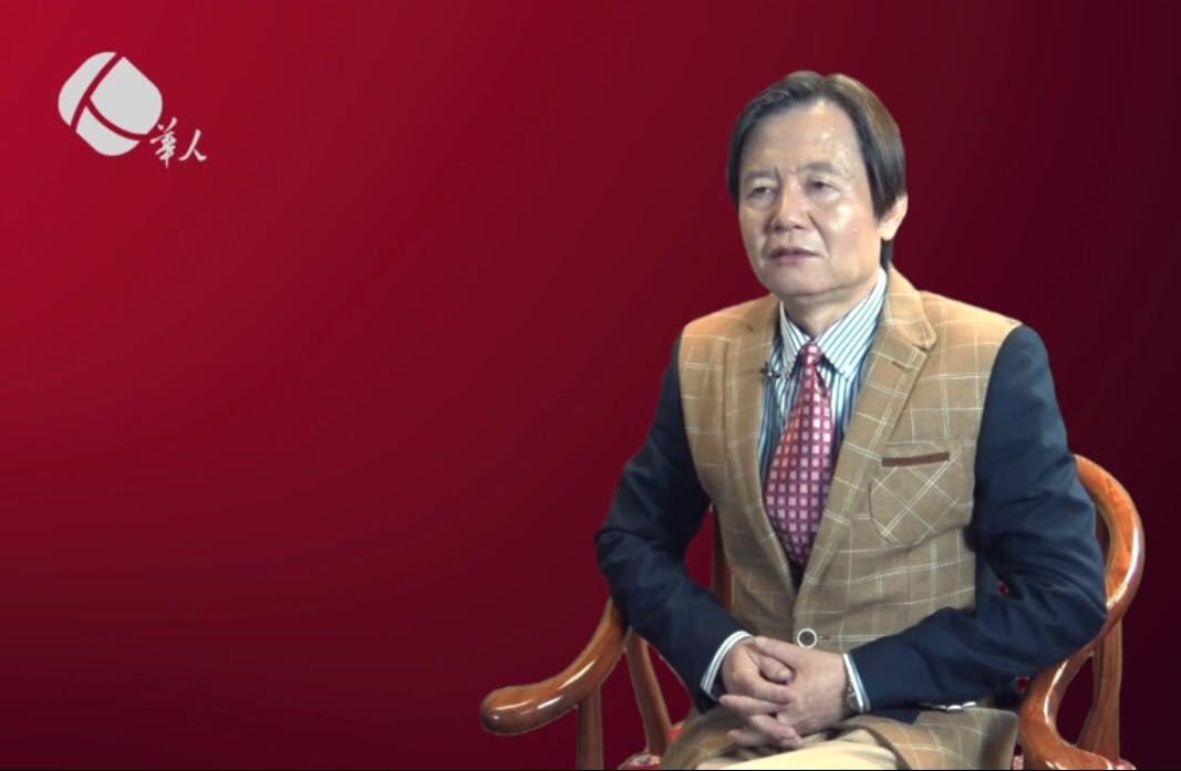 华人的中国心