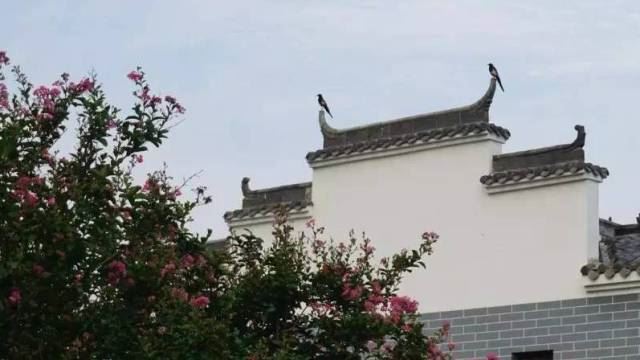 湖北经视的阿星“笑长”，竟在凤娃古寨“租”媳妇
