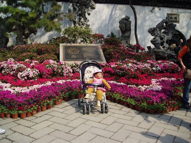 苏州园林介绍之拙政园