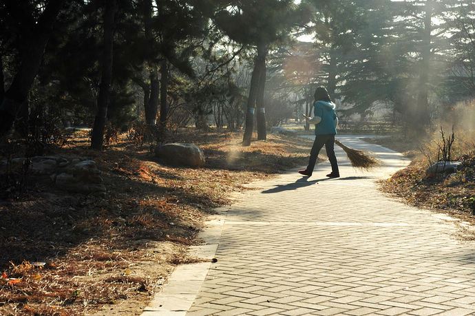 中科院香山植物园