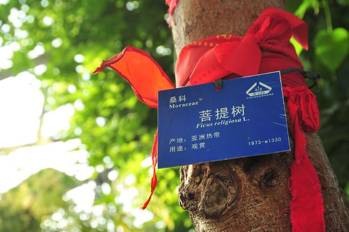 中科院香山植物园