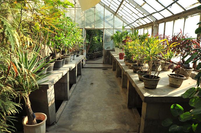 中科院香山植物园