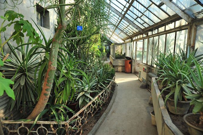 中科院香山植物园