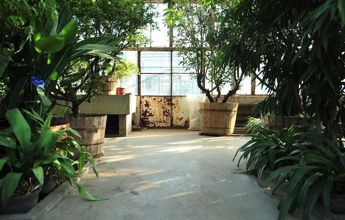 中科院香山植物园
