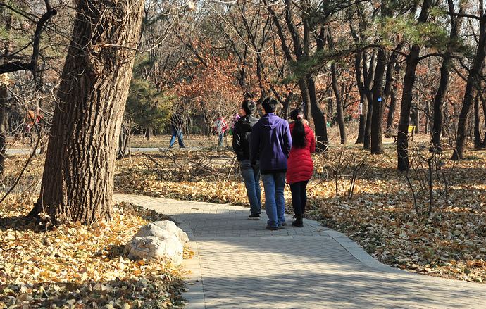 中科院香山植物园