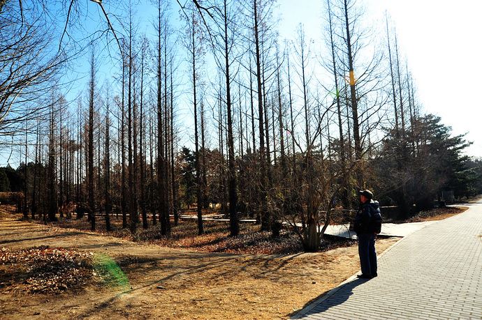 中科院香山植物园