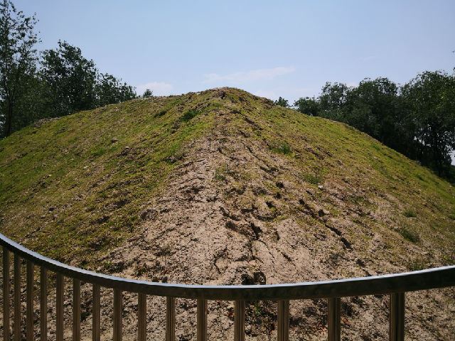 棺材替身鲍鱼及其他