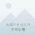 为什么说:男不养猫,女不养狗?男不养猫,女不养狗典故出处!