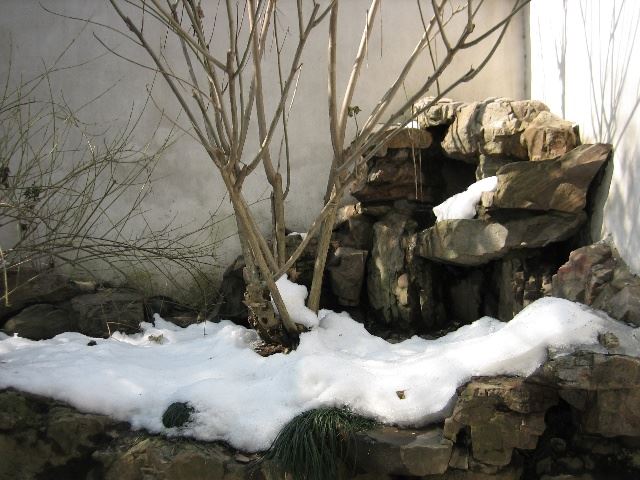 苏州园林介绍之沧浪亭