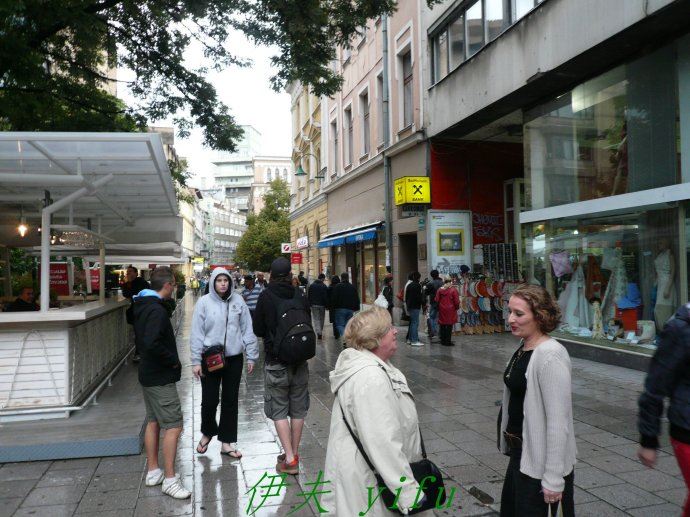 瓦尔特保卫萨拉热窝