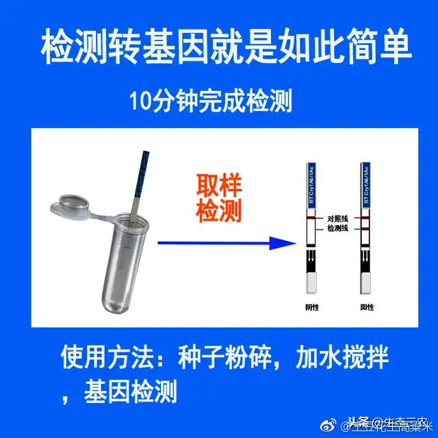 如何鉴别防范转基因大米？