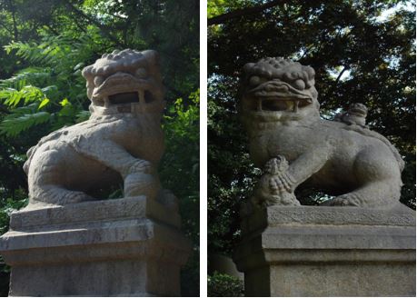 日本靖国神社,还我石狮!