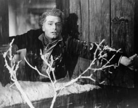 最佳版本的诗化电影《简爱》与《呼啸山庄》