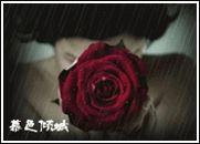 『观微见菩』万物生：风在摇它的叶，草在结它的籽°