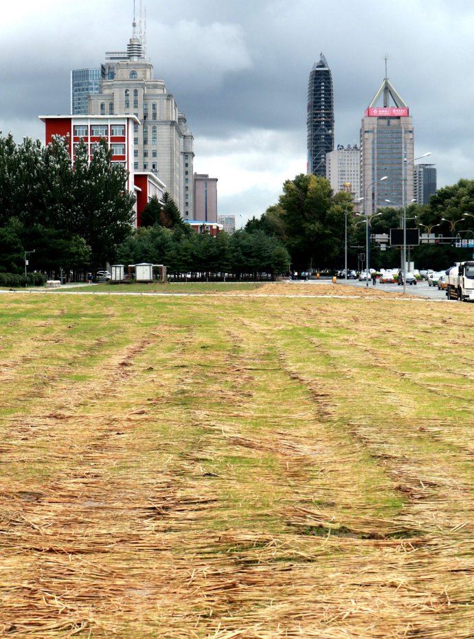 伪满洲国八大部