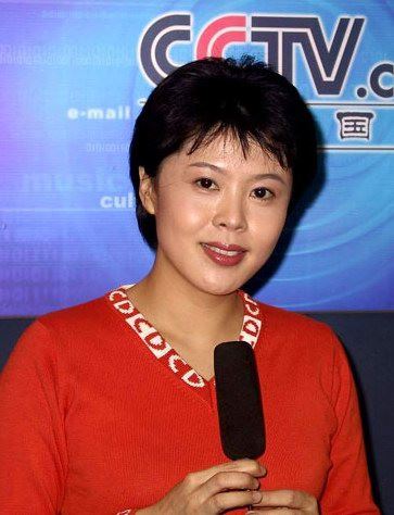 北京奥运的十大央视知性美女主持(图)