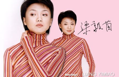 北京奥运的十大央视知性美女主持(图)