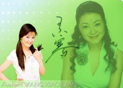 北京奥运的十大央视知性美女主持(图)