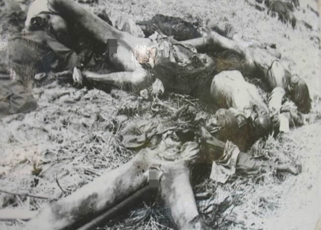 革命的红色高棉