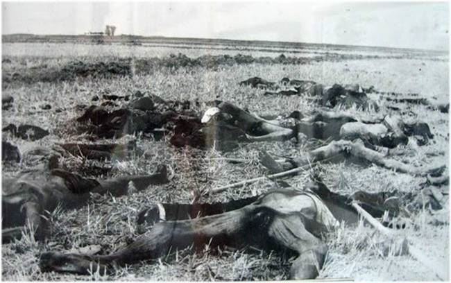 革命的红色高棉