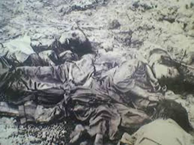 革命的红色高棉