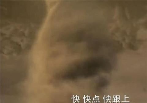 细数《步步惊情》惨不忍睹8大雷点(图)