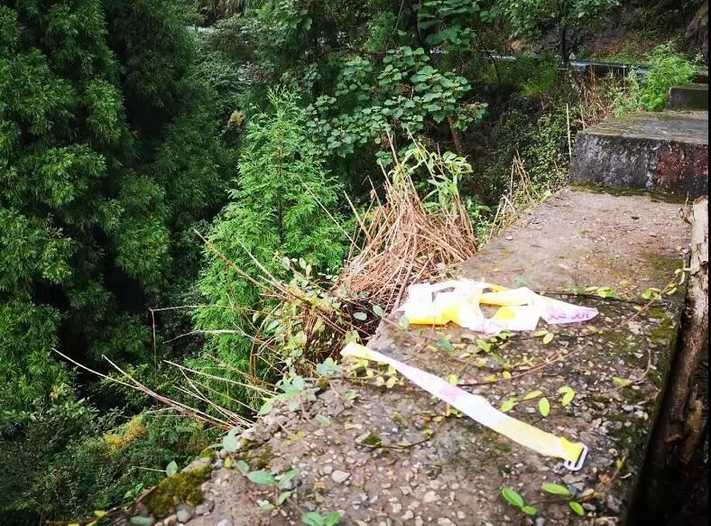 20岁女孩坐滴滴顺风车遇害，生前曾发微信求救！司机前一天刚被女乘客投诉……