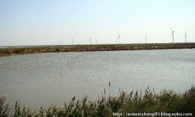 看第二故乡30年变化之陈家港