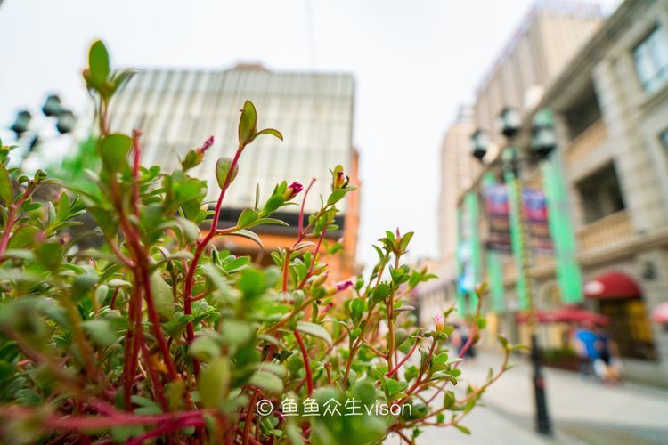 【湖北】楚河汉街，逛逛世界最长最美的步行街