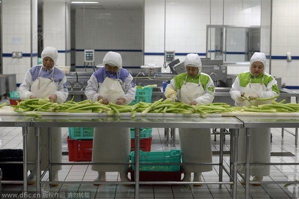 动车高铁上的盒饭是这样做的 你信吗？