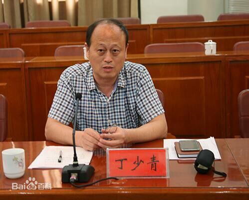 平顶山两任政法委书记一雇凶杀人被处死一跳楼自杀