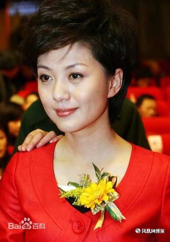 解说阅兵的央视当家花旦海霞的爱情揭秘（组图）