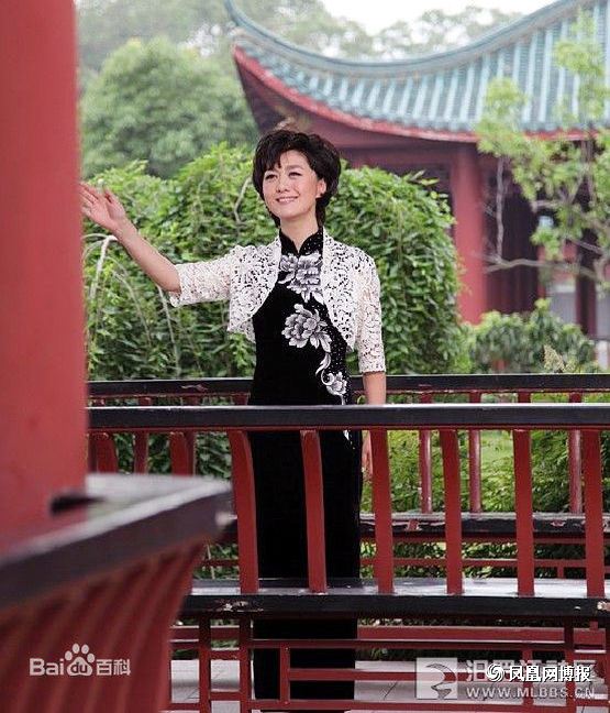 解说阅兵的央视当家花旦海霞的爱情揭秘(组图)