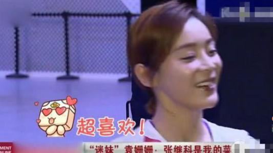 张继科、袁姗姗到底怎么了?(图)