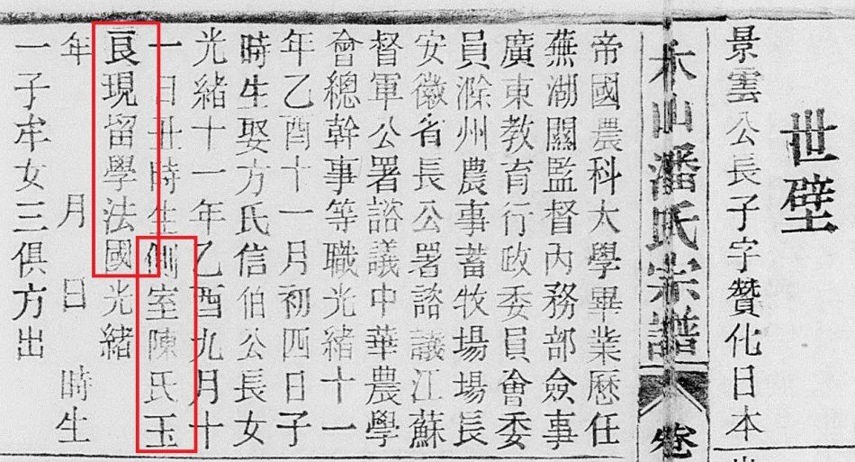 著名画家潘玉良的身世之谜