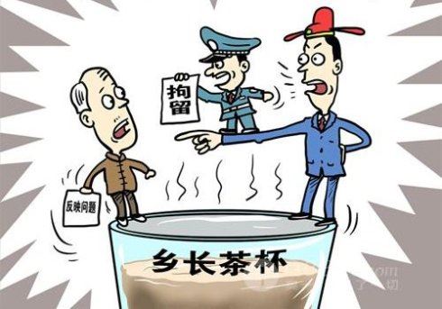 农妇回骂镇领导被拘：升级版“茶杯门”