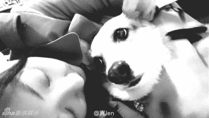 李云迪女友与旧爱华真撞脸华真海量私房照曝光(图)