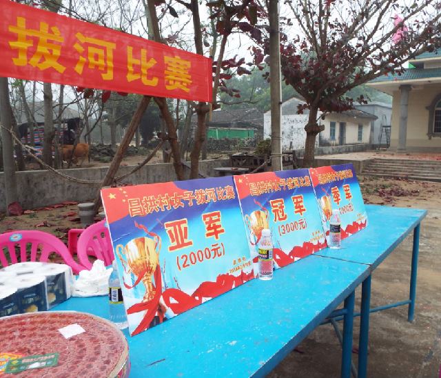 海南女人赤脚拔河闹新春