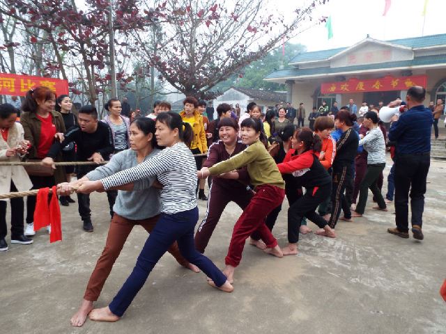 海南女人赤脚拔河闹新春