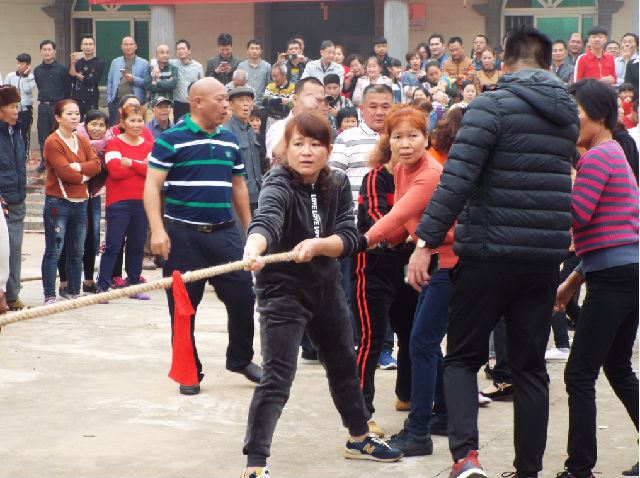 海南女人赤脚拔河闹新春