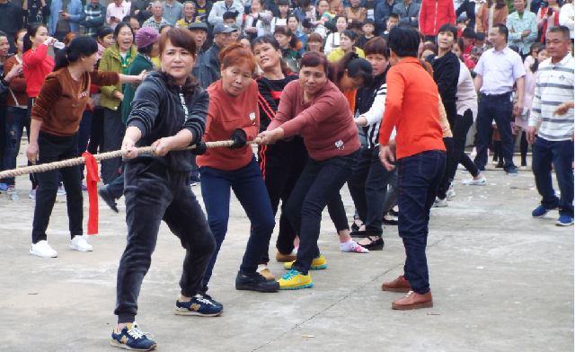 海南女人赤脚拔河闹新春