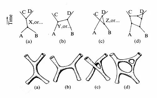 量子力学的八大护法金刚