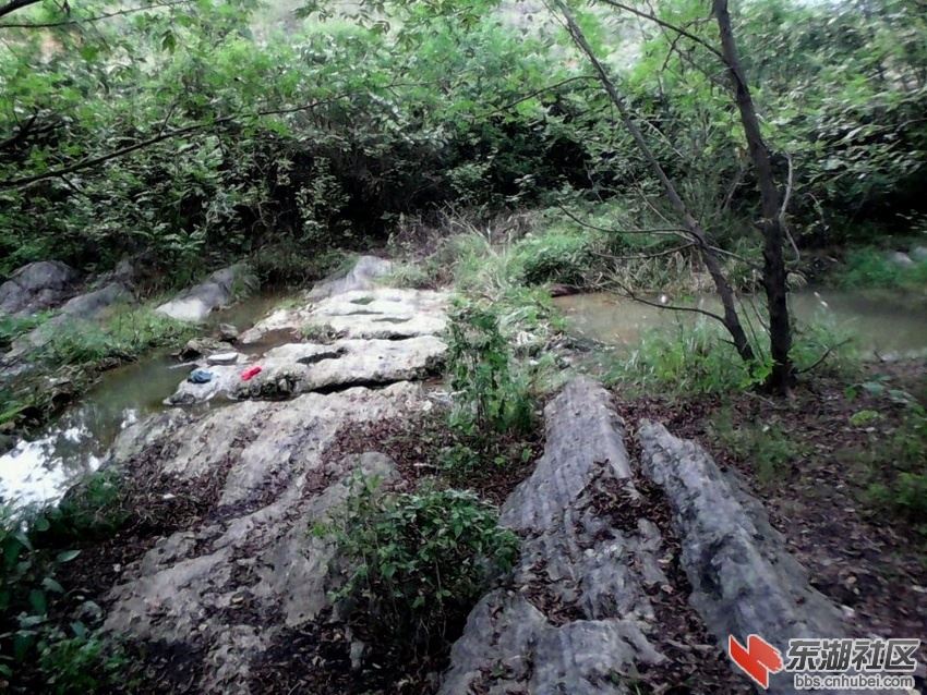 李白隐居安陆云梦县十年其实醉翁之意不在酒别有用心组图