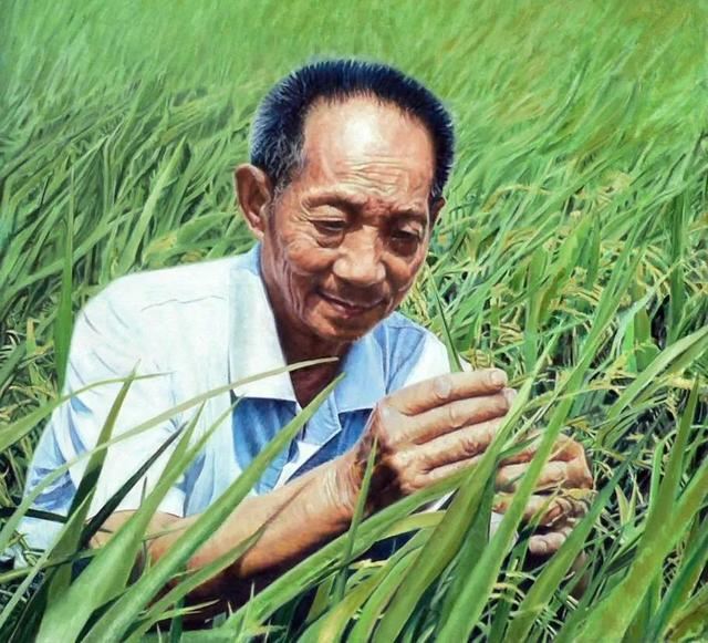 胡歌深夜微博48小时后……语言暴力，是悬在每个人身上的一把刀！