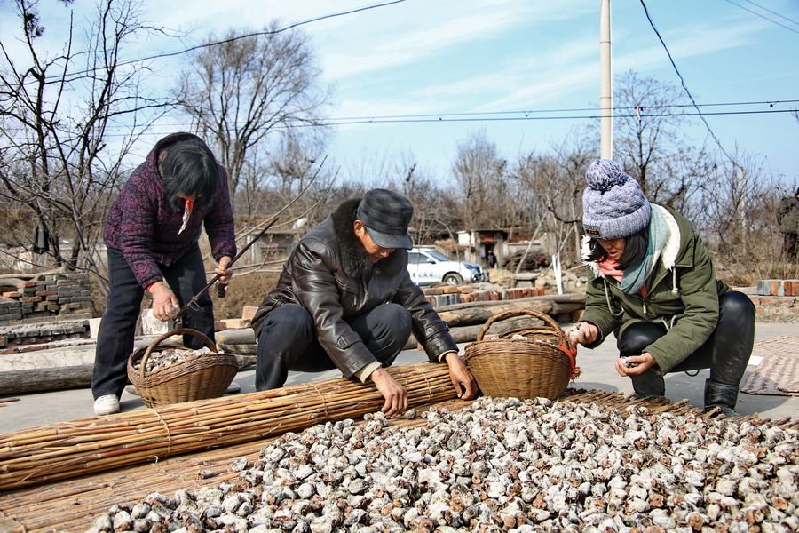 女记者兼职地摊西施为山里老人送希望
