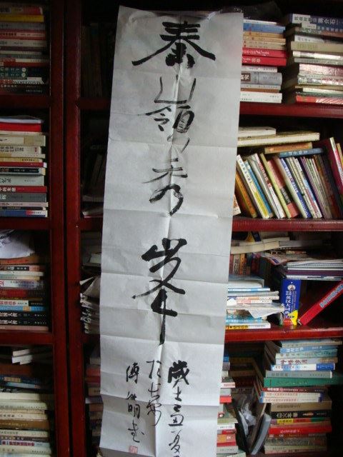 终南山色张新生