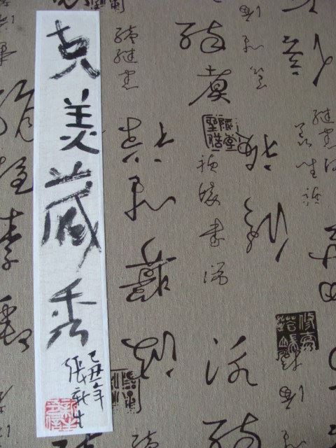 终南山色张新生