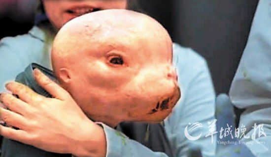 揭秘前苏联人兽杂交秘密实验内幕 震惊世界(图14张)